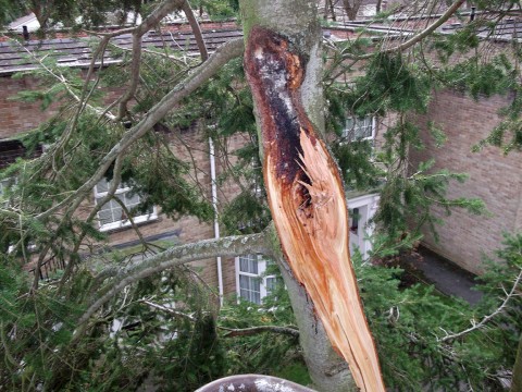 Storm damage removal in Highcliffe