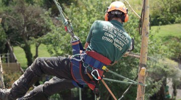 Tree Surgery Hampshire