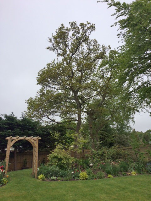 Landscape Gardening
